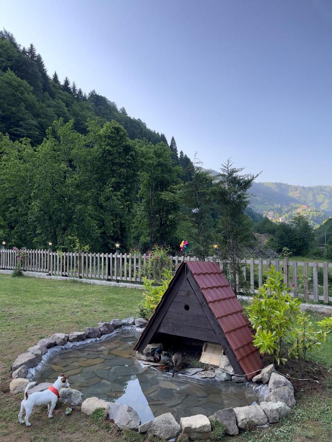 Dream River Exclusive Bungalow Rize Exterior foto